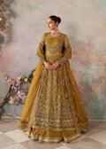 Sierra Organza Pakistani Formal Dresses