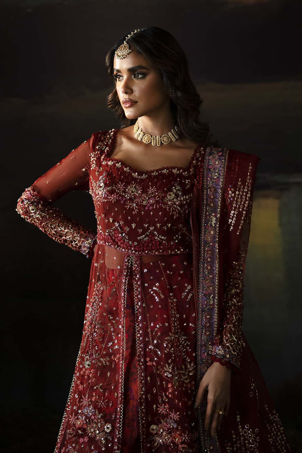 Anaya Organza Pakistani Formal Dresses - Afrozeh - 3