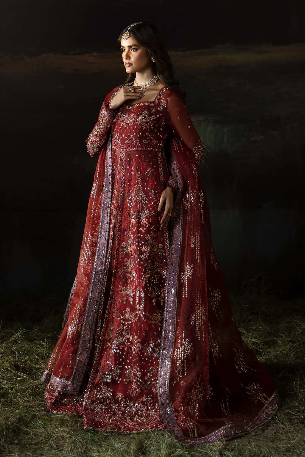 Anaya Organza Pakistani Formal Dresses - Afrozeh - 4