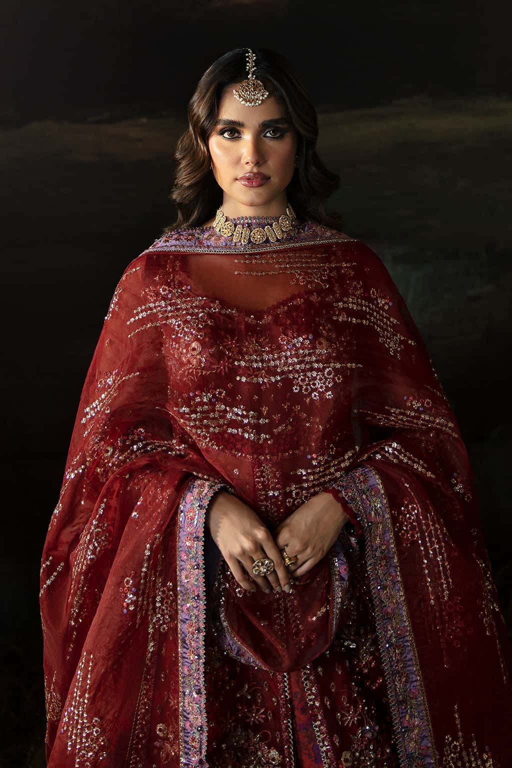 Anaya Organza Pakistani Formal Dresses - Afrozeh - 5
