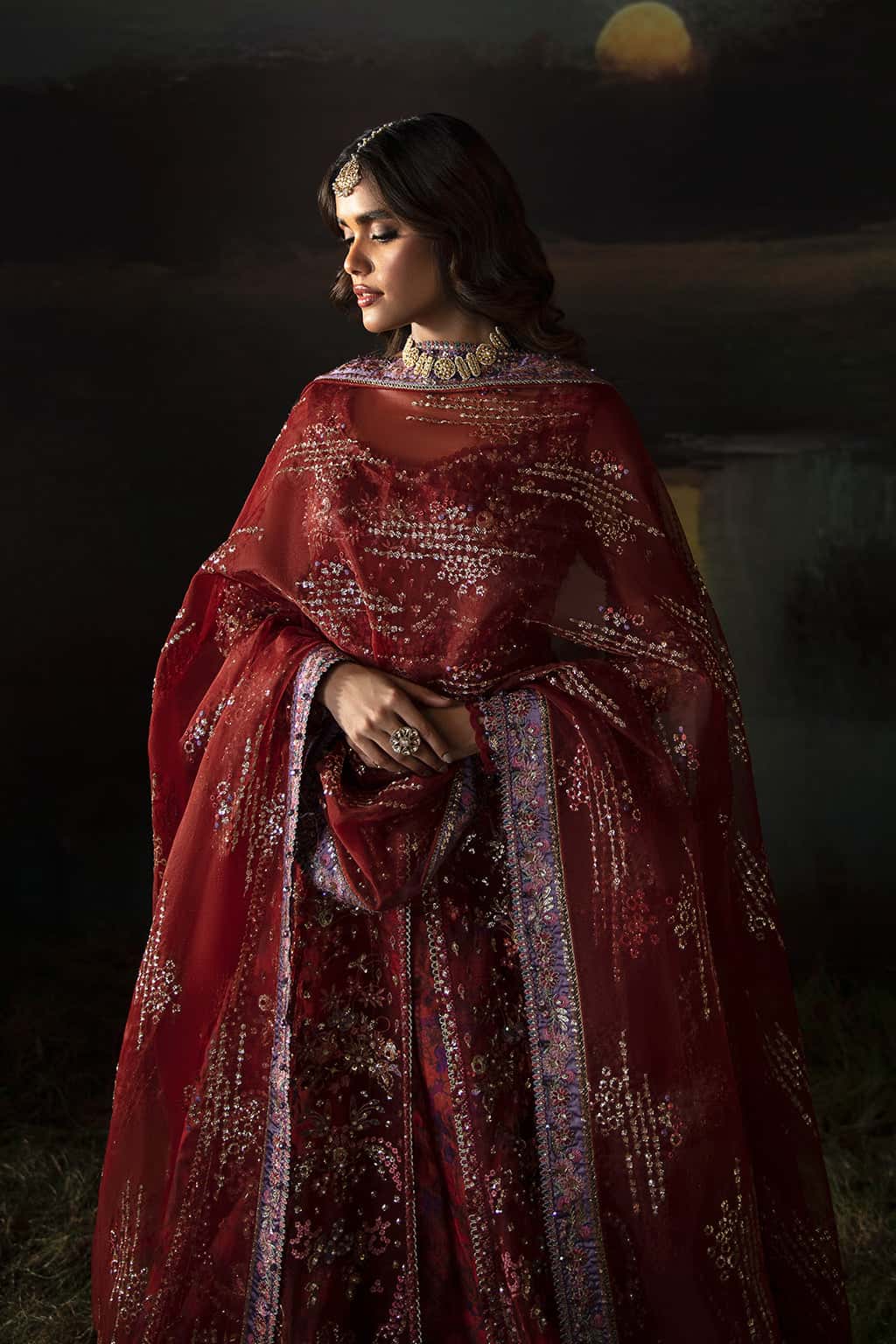 Anaya Organza Pakistani Formal Dresses - Afrozeh - 6