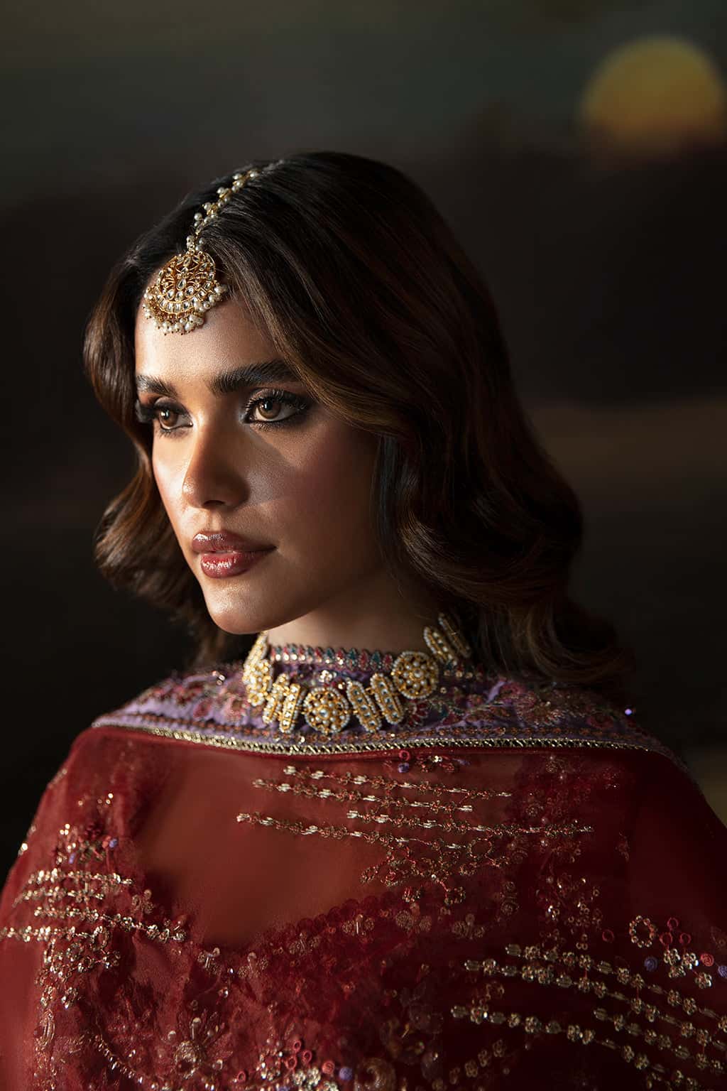 Anaya Organza Pakistani Formal Dresses - Afrozeh - 7