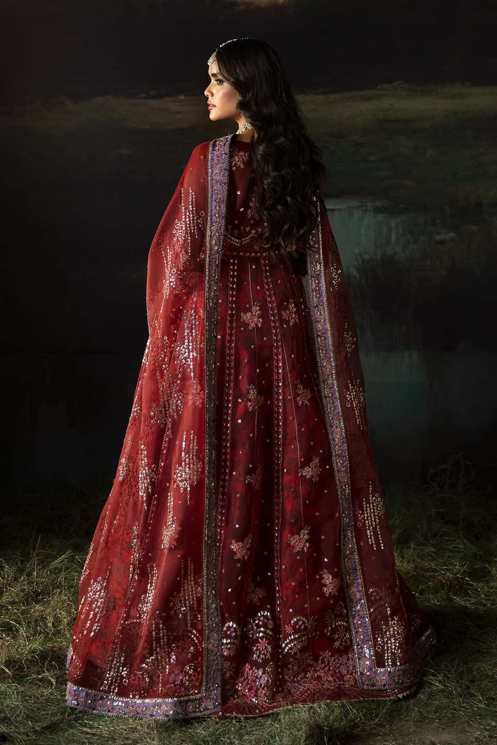 Anaya Organza Pakistani Formal Dresses - Afrozeh - 2