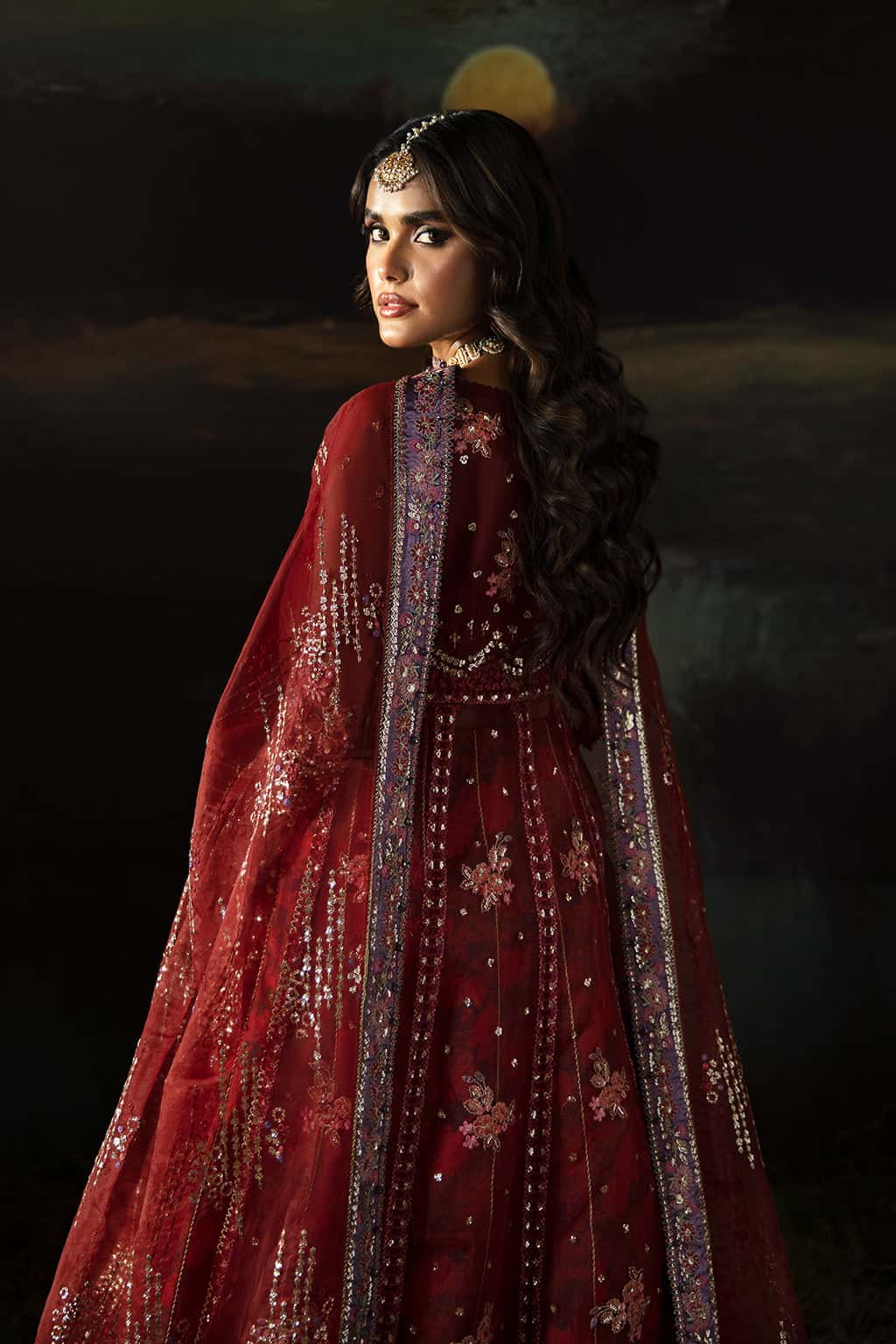 Anaya Organza Pakistani Formal Dresses - Afrozeh - 8