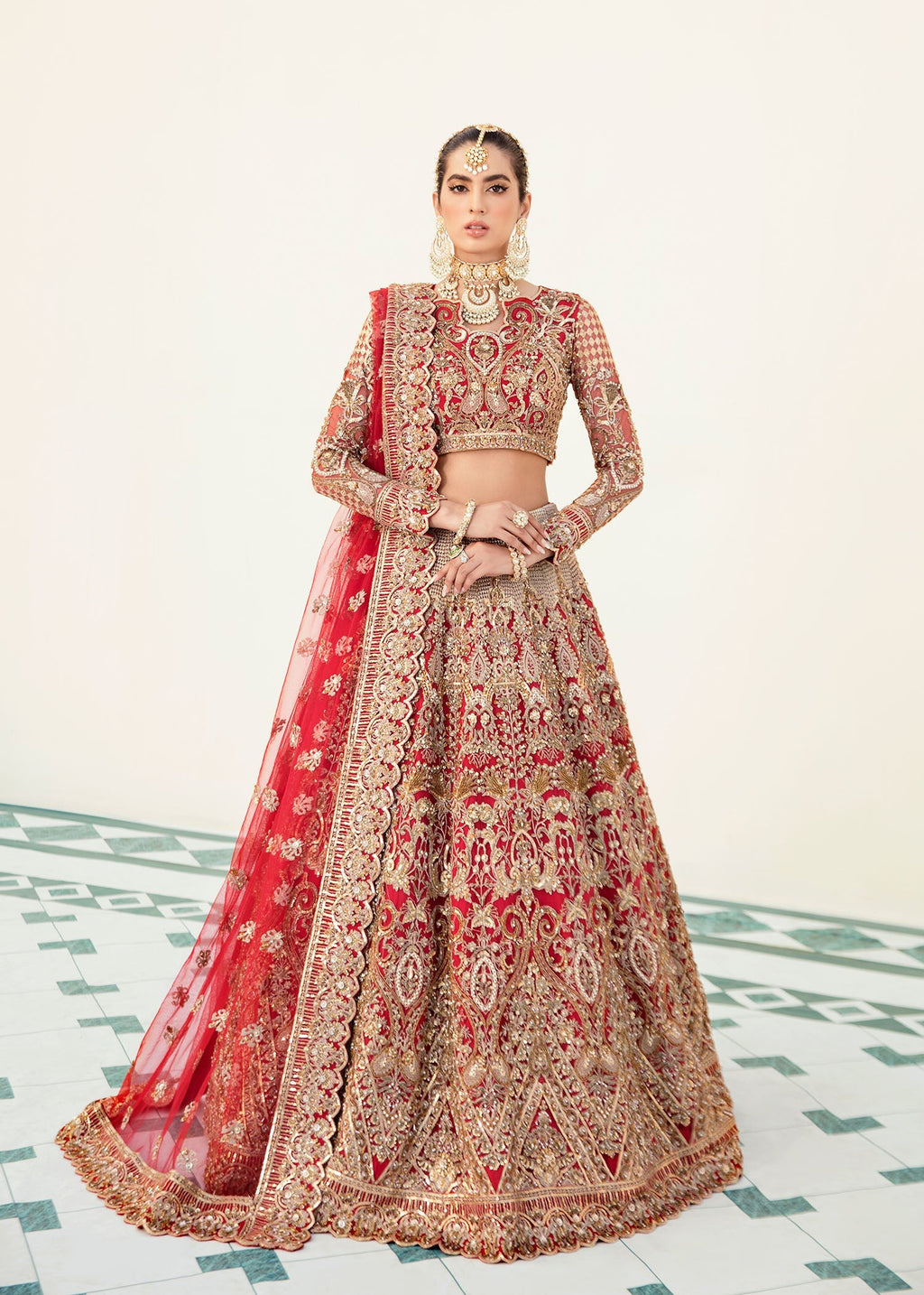 Salamander Embroidered Pakistani Dress