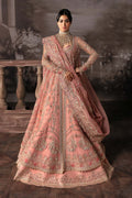 Victoria Raw Silk Pakistani Formal Dresses - Afrozeh - 1