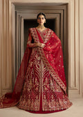 Solene Organza Pakistani Formal Dresses