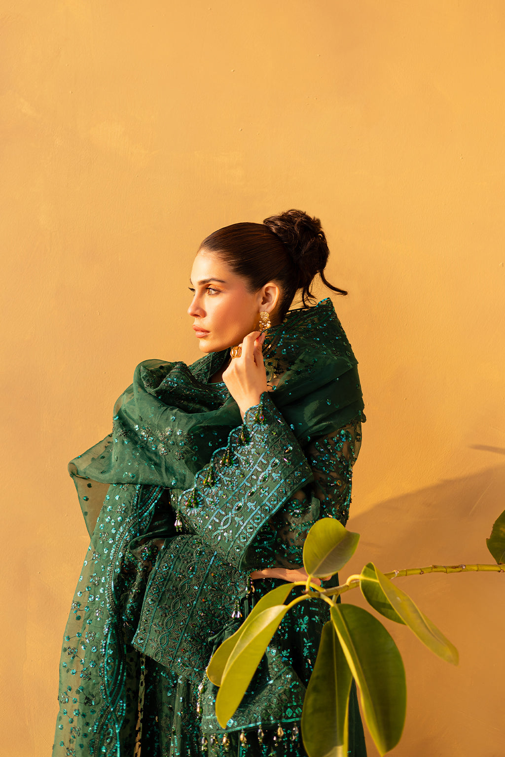 IVYEN Luxury Pakistani Fashion