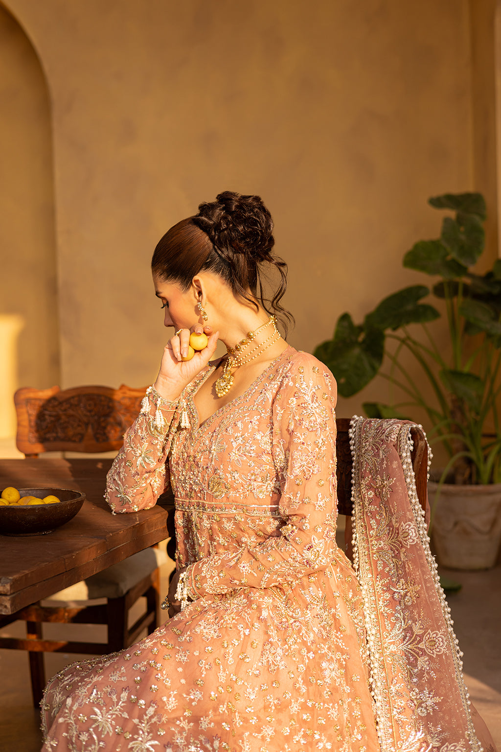 MISTRAL Embroidered Pakistani Dress