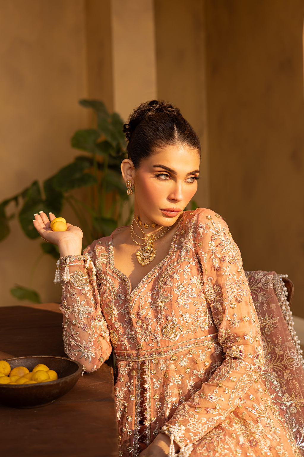 MISTRAL Embroidered Pakistani Dress