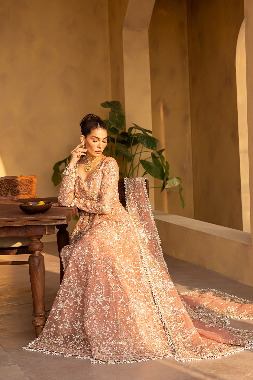MISTRAL Embroidered Pakistani Dress