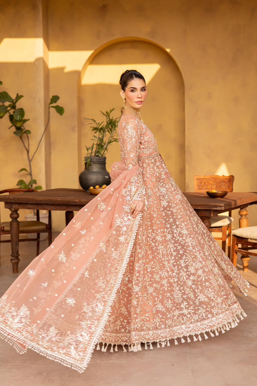 MISTRAL Embroidered Pakistani Dress