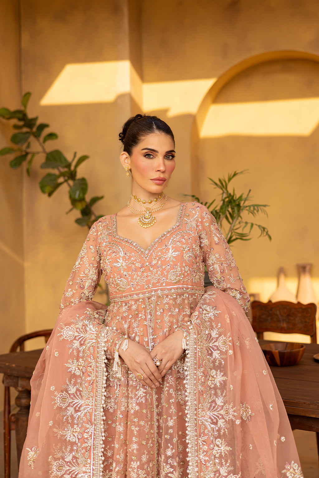 MISTRAL Embroidered Pakistani Dress