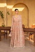 MISTRAL Embroidered Pakistani Dress