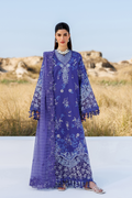PETAL PULSE Pakistani Summer Dresses Collection