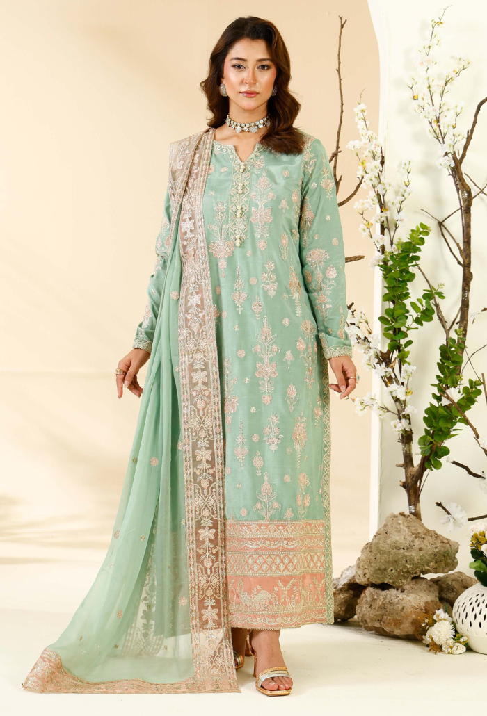 Rabt - D06 Raw Silk Pakistani Formal Dresses - Humdum - 2