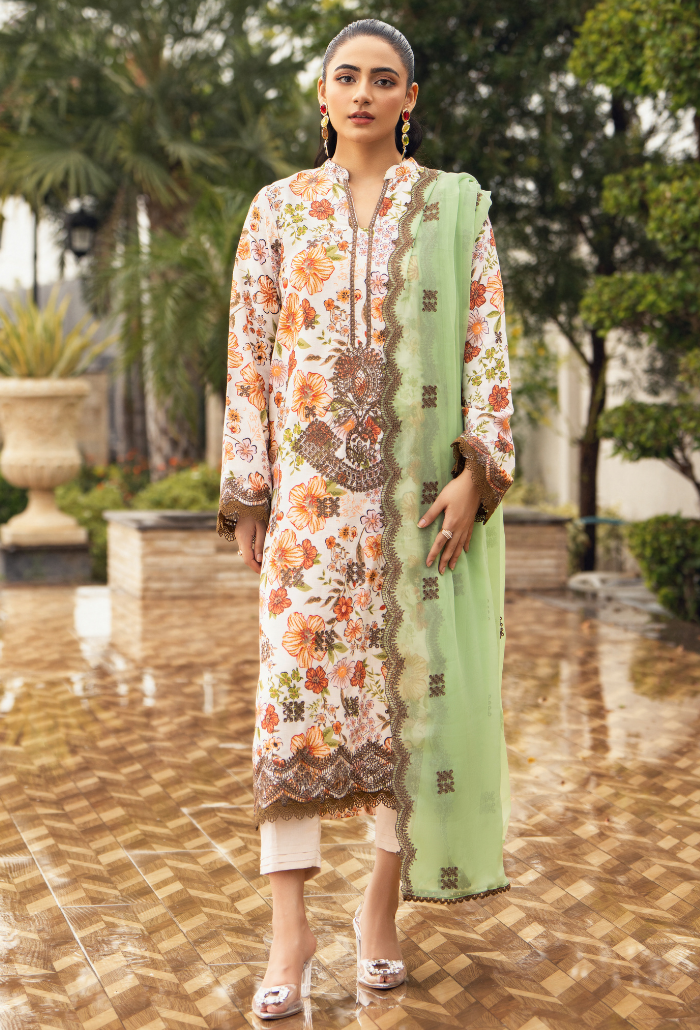 Diva - D10 Chiffon Pakistani Winter Dresses - Humdum - 1