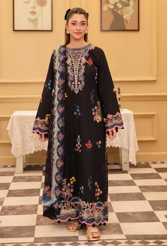 Senora'2 - D09 Organza Pakistani Summer Dresses - Humdum - 1