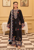 Senora'2 - D09 Organza Pakistani Summer Dresses - Humdum - 1