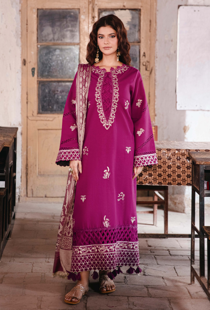 ONORA CHAPTER 2 - D07 Organza Pakistani Winter Dresses - Humdum - 2