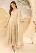 HOC - D02 Raw Silk Pakistani Formal Dresses - Humdum - 1