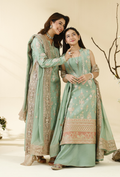 Rabt - D06 Raw Silk Pakistani Formal Dresses - Humdum - 1