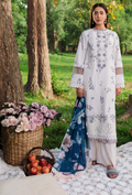 Summer Breeze - D01 Chiffon Pakistani Summer Dresses - Humdum - 1