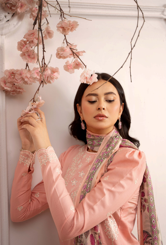 Inara-D04 Organza Pakistani Summer Dresses - Humdum - 4