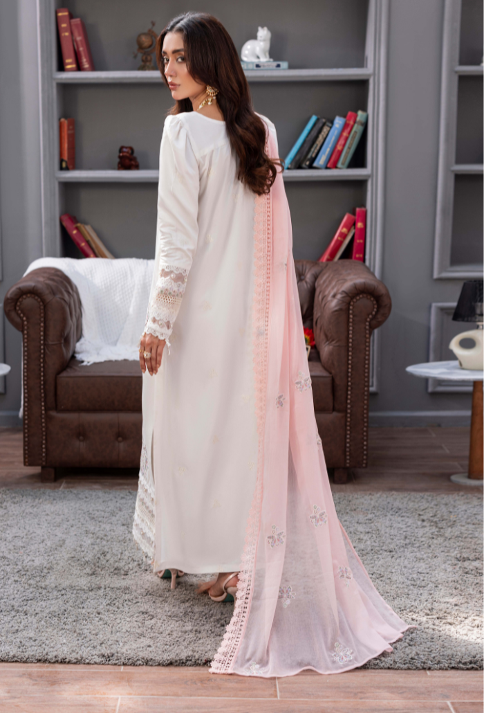 Fareeha - D03 Chiffon Pakistani Winter Dresses - Humdum - 3