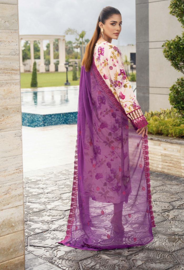 Diva - D02 Chiffon Pakistani Winter Dresses - Humdum - 2