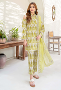 Ziva - D05 Chiffon Pakistani Summer Dresses - Humdum - 1