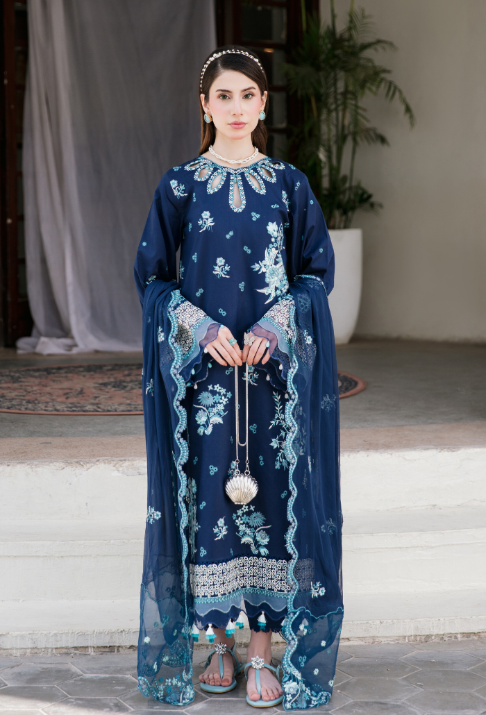 Meraki'2 - D06 Organza Pakistani Summer Dresses - Humdum - 1