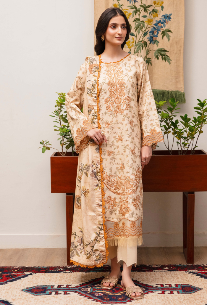 LAIBA - D04 Organza Pakistani Winter Dresses - Humdum - 1