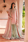 NAAZ Embroidered Pakistani Dress