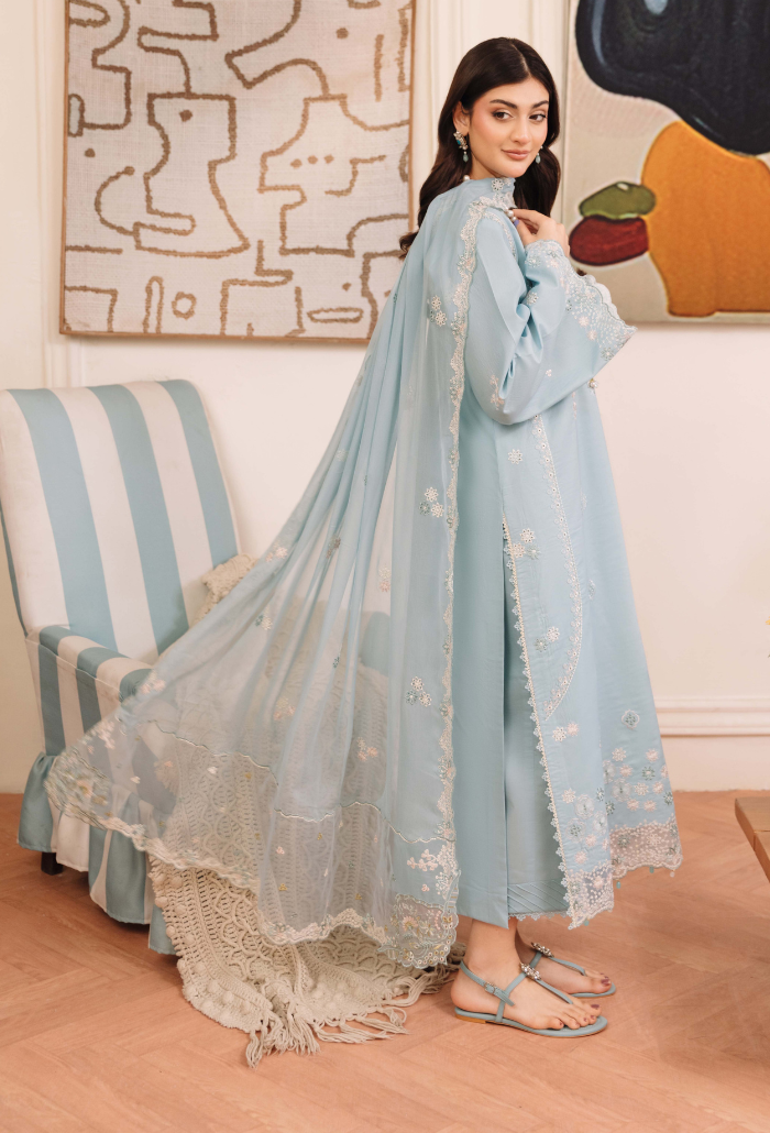 Mirha'2 - D05 Organza Pakistani Summer Dresses - Humdum - 3
