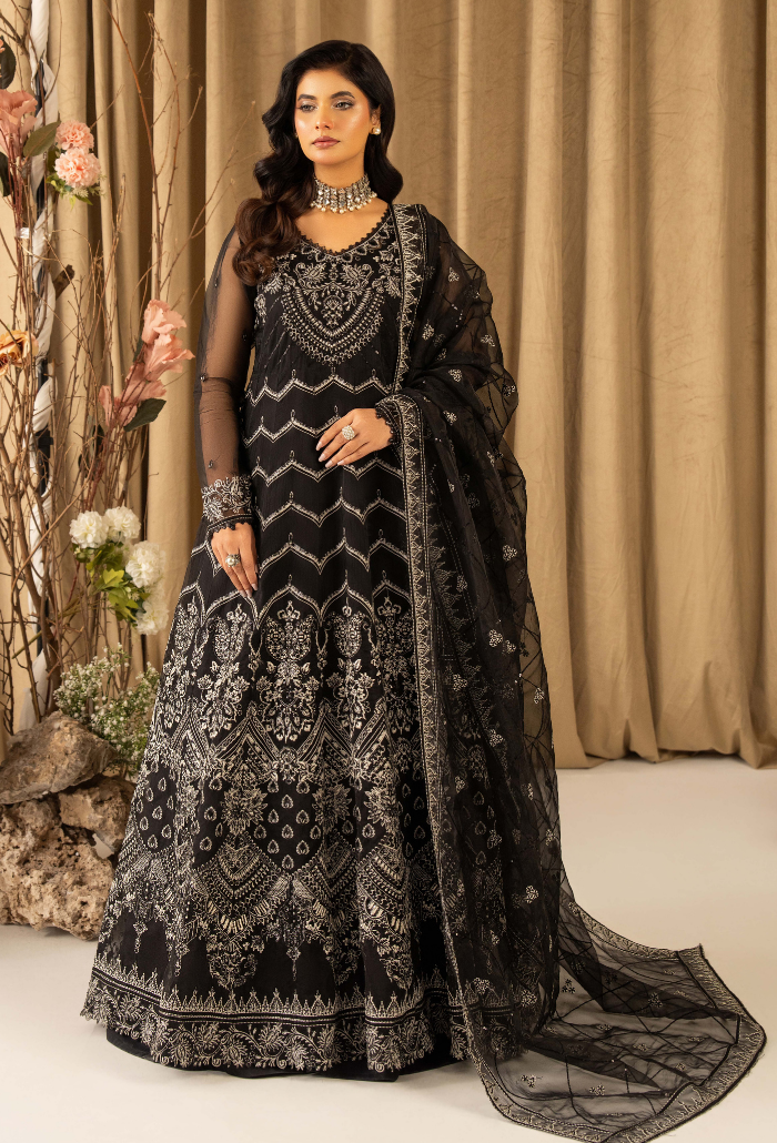 HOC - D11 Raw Silk Pakistani Formal Dresses - Humdum - 4