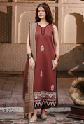 ONORA CHAPTER 2 - D03 Organza Pakistani Winter Dresses - Humdum - 1
