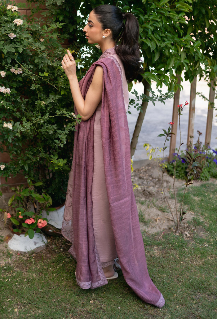 Mirha - D10 Organza Pakistani Summer Dresses - Humdum - 2