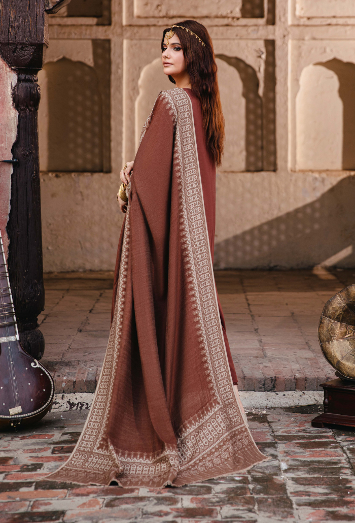 ONORA CHAPTER 2 - D03 Organza Pakistani Winter Dresses - Humdum - 3