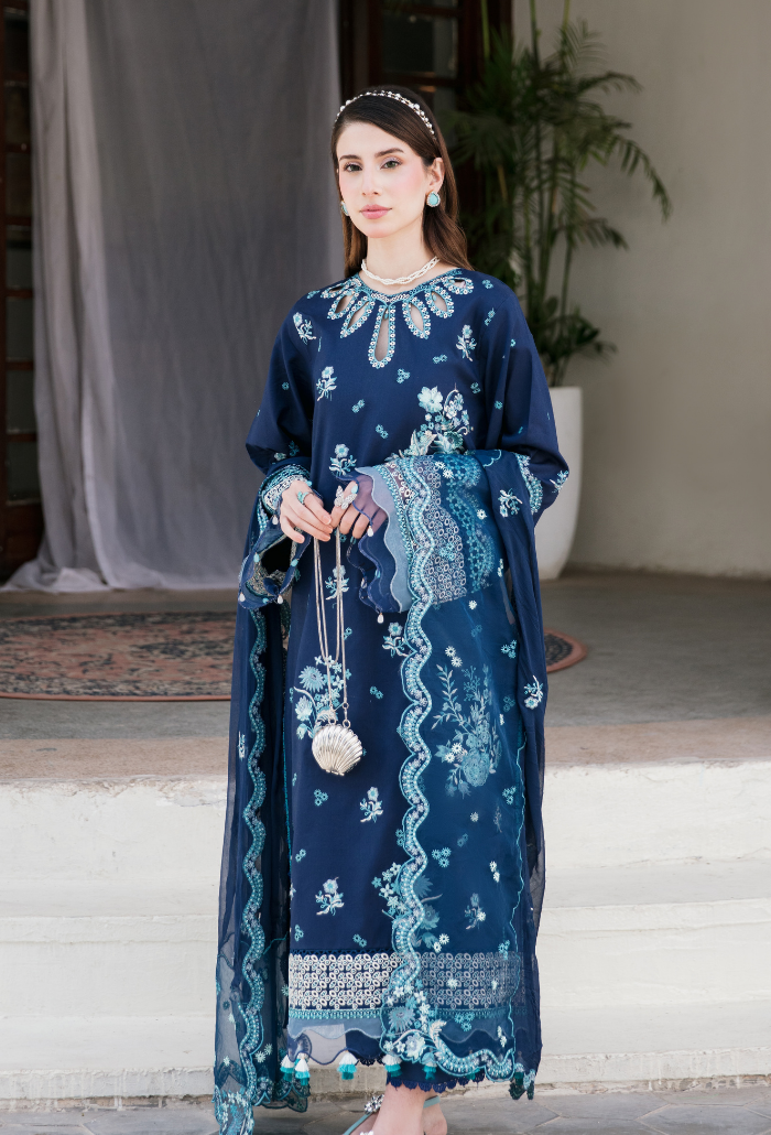 Meraki'2 - D06 Organza Pakistani Summer Dresses - Humdum - 3