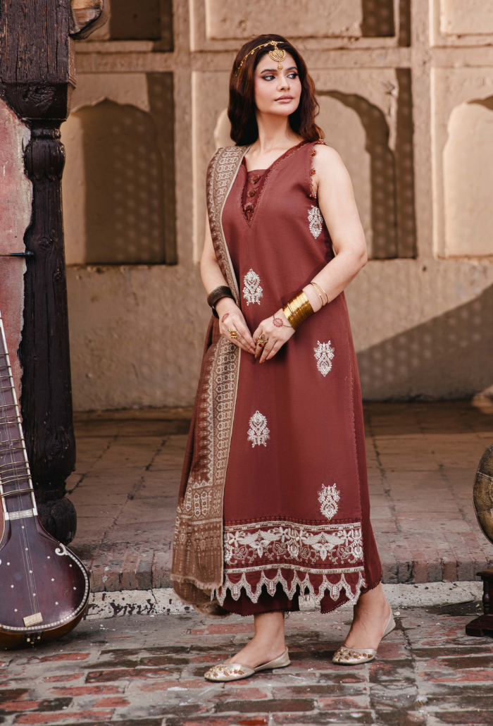ONORA CHAPTER 2 - D03 Organza Pakistani Winter Dresses - Humdum - 2