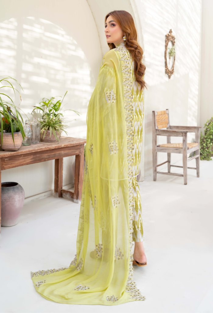 Ziva - D05 Chiffon Pakistani Summer Dresses - Humdum - 3