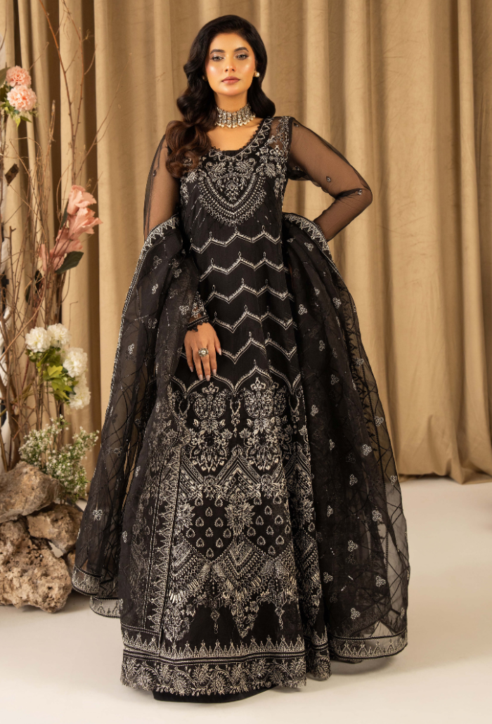 HOC - D11 Raw Silk Pakistani Formal Dresses - Humdum - 1