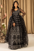 HOC - D11 Raw Silk Pakistani Formal Dresses - Humdum - 1