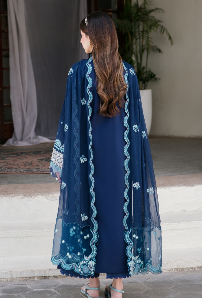 Meraki'2 - D06 Organza Pakistani Summer Dresses - Humdum - 2