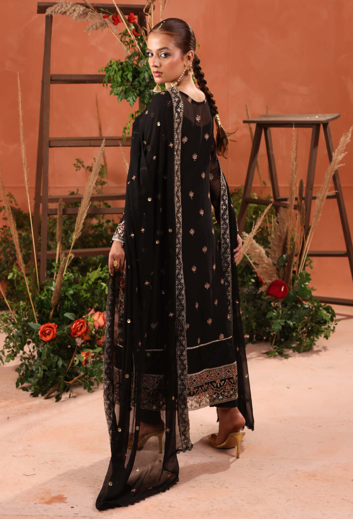 Heer-D05 Organza Pakistani Formal Dresses - Humdum - 3