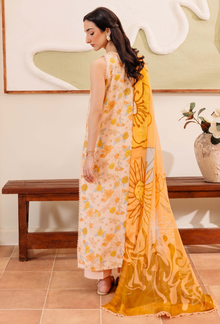 MIRAL - D02 Chiffon Pakistani Winter Dresses - Humdum - 2