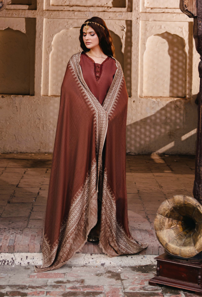 ONORA CHAPTER 2 - D03 Organza Pakistani Winter Dresses - Humdum - 4