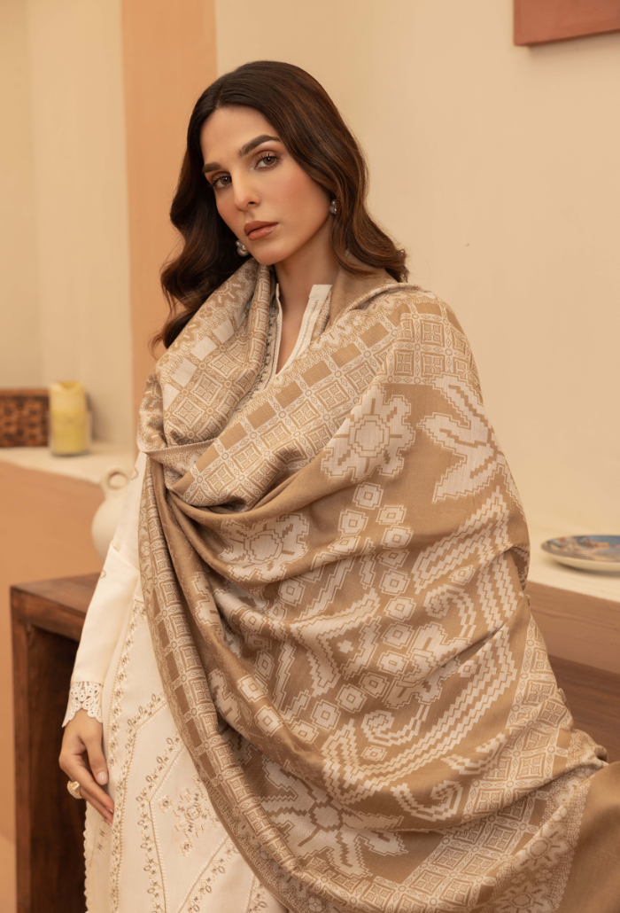 Carvan-D02 Premium Fabric Pakistani Winter Dresses - Humdum - 4