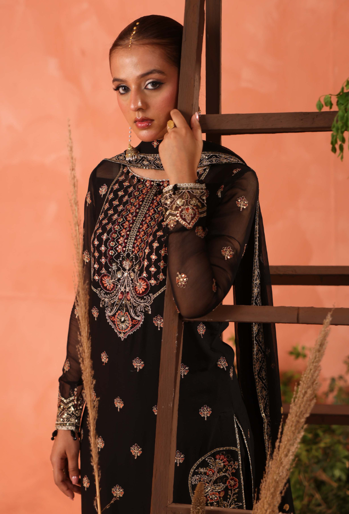 Heer-D05 Organza Pakistani Formal Dresses - Humdum - 2